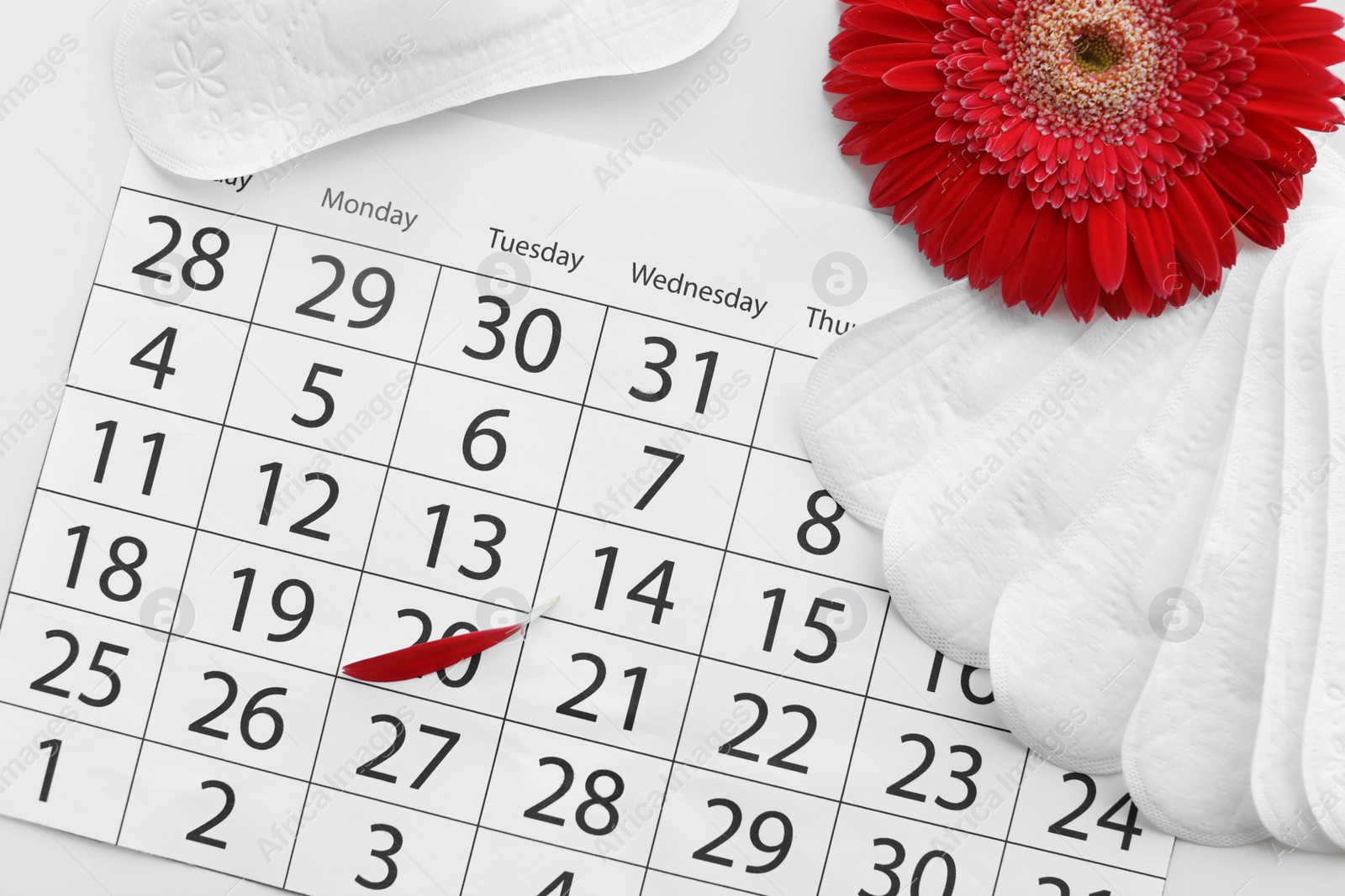 Photo of Menstrual pads and calendar with red flower petal on table, top view. Gynecological care