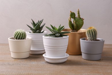 Photo of Many different succulent plants in pots on wooden table