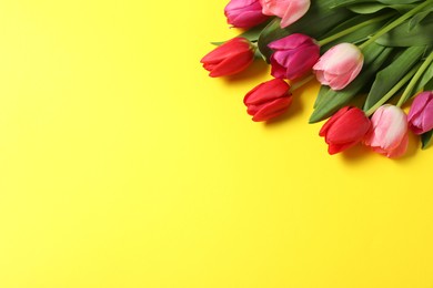 Photo of Beautiful colorful tulip flowers on yellow background. Space for text