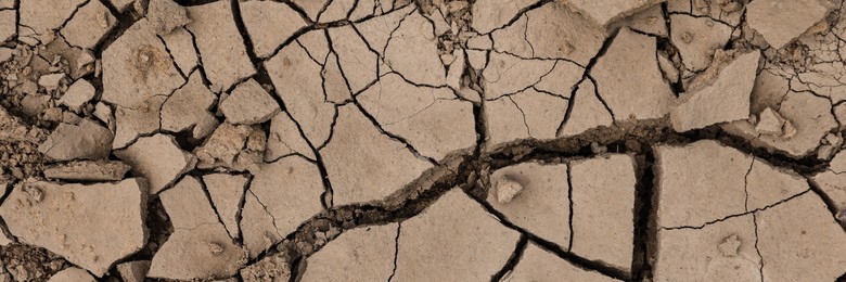 Image of Dry cracked ground as background, top view. Banner design