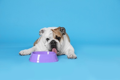 Photo of Adorable funny English bulldog with feeding bowl on light blue background