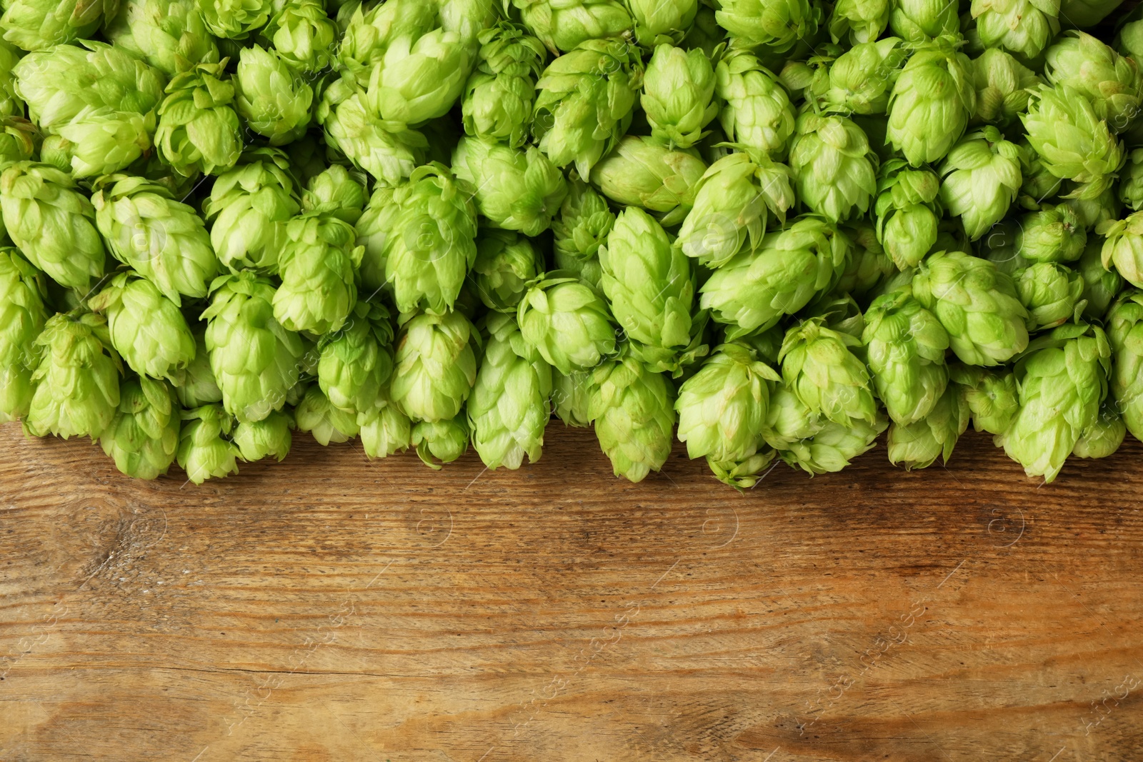 Photo of Fresh green hops on wooden table, top view. Space for text