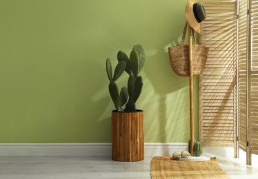 Photo of Hallway interior with cactus in pot and wooden furniture