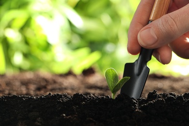 Photo of Woman taking care of young vegetable seedling outdoors, closeup. Space for text
