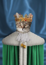 Image of Cute cat dressed like royal person against blue background