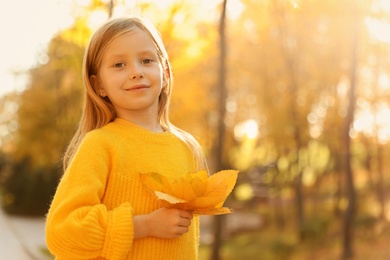 Photo of Cute little girl with leaves in sunny park. Autumn walk