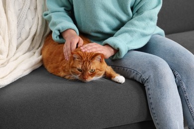 Photo of Woman petting cute cat on sofa at home, closeup