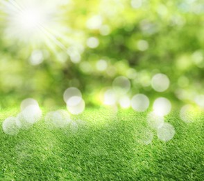 Image of Vibrant green grass outdoors on sunny day