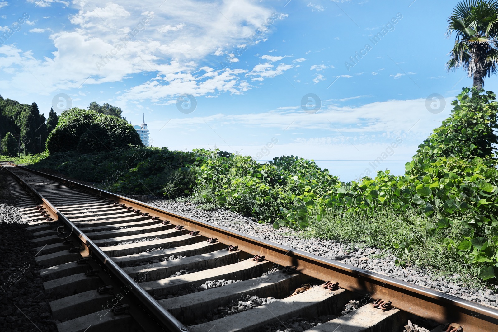 Photo of Modern railway line among plants in countryside