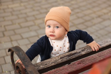Portrait of little baby near bench in park