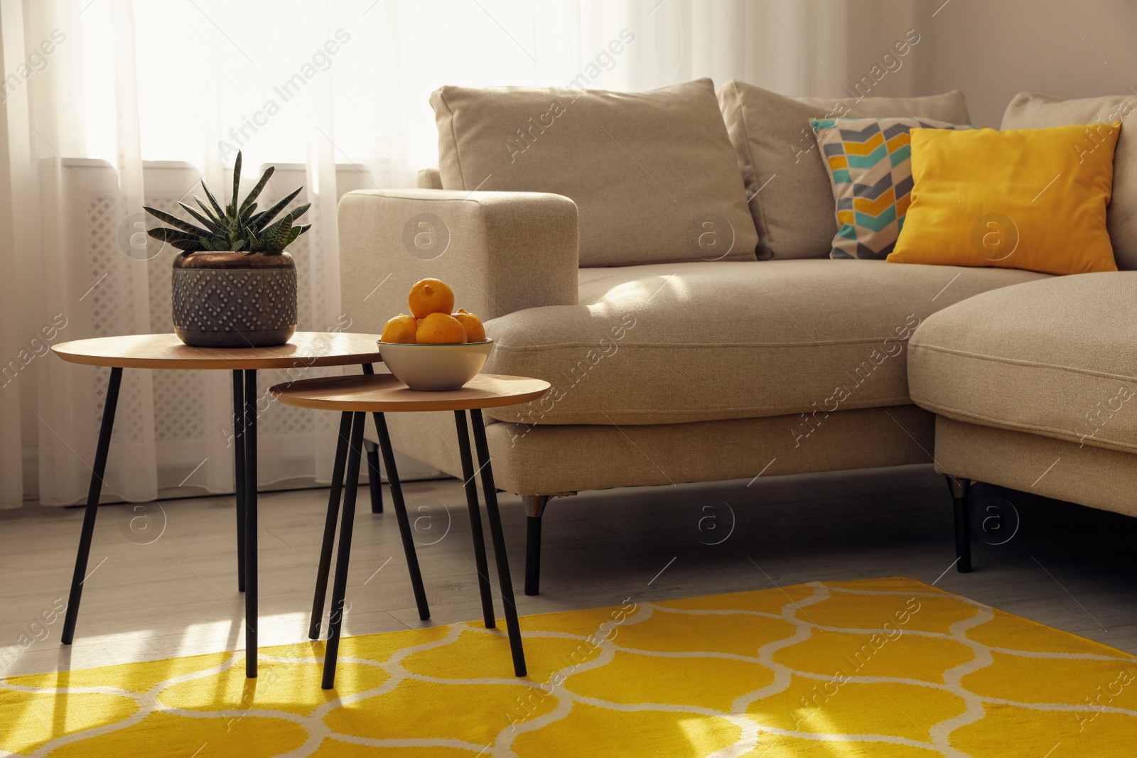 Photo of Living room interior with stylish rug and furniture, above view
