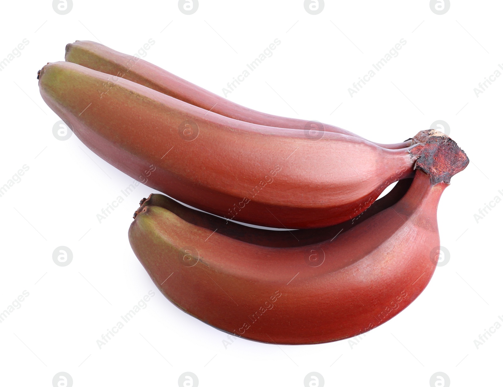 Photo of Delicious red baby bananas on white background