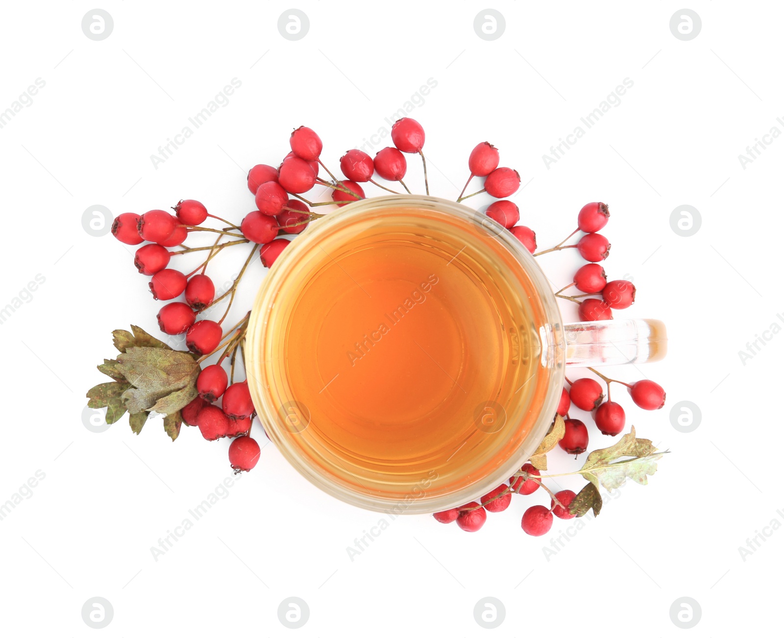 Photo of Cup with hawthorn tea and berries isolated on white, top view
