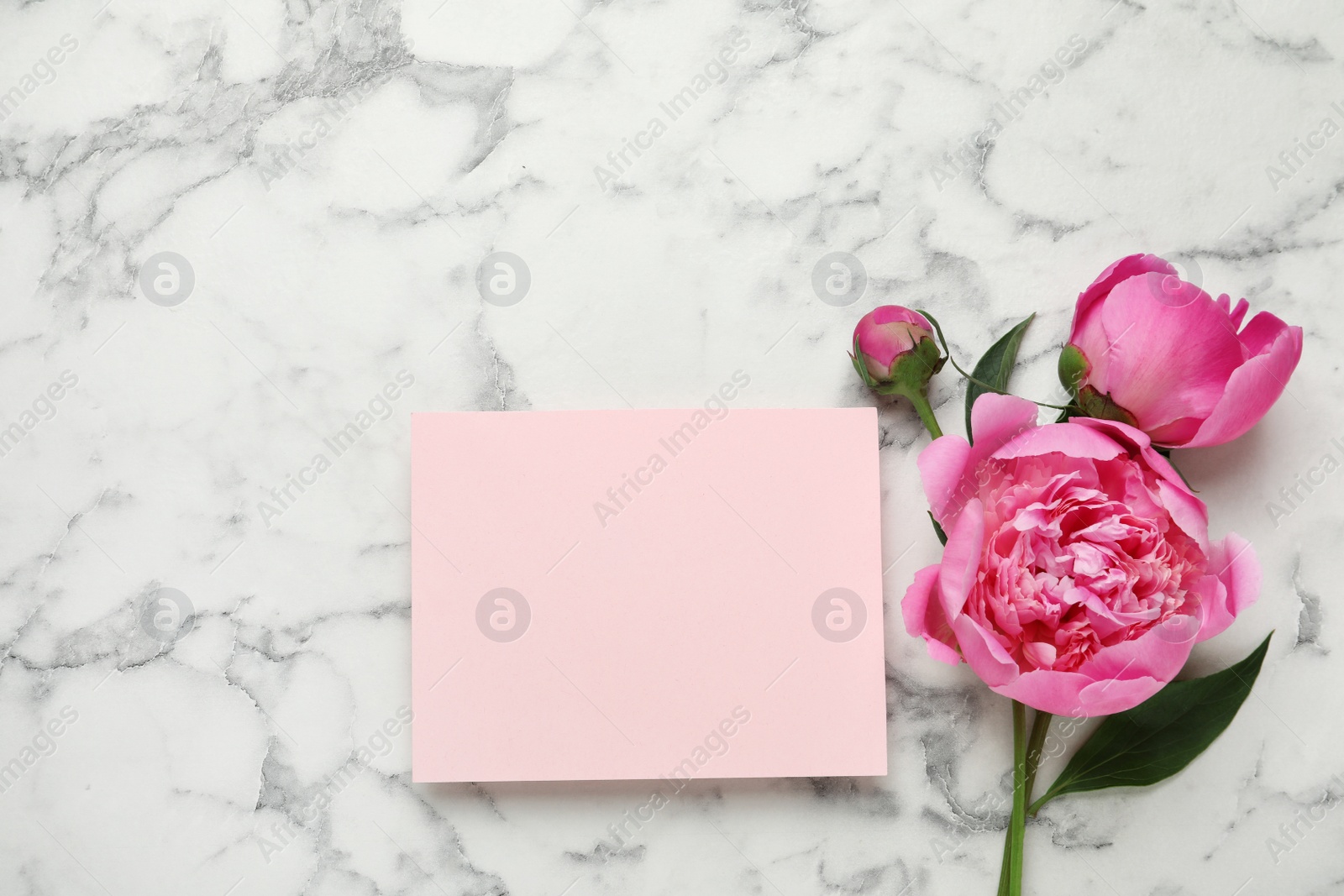 Photo of Fragrant peonies and blank card on marble table, top view with space for text. Beautiful spring flowers