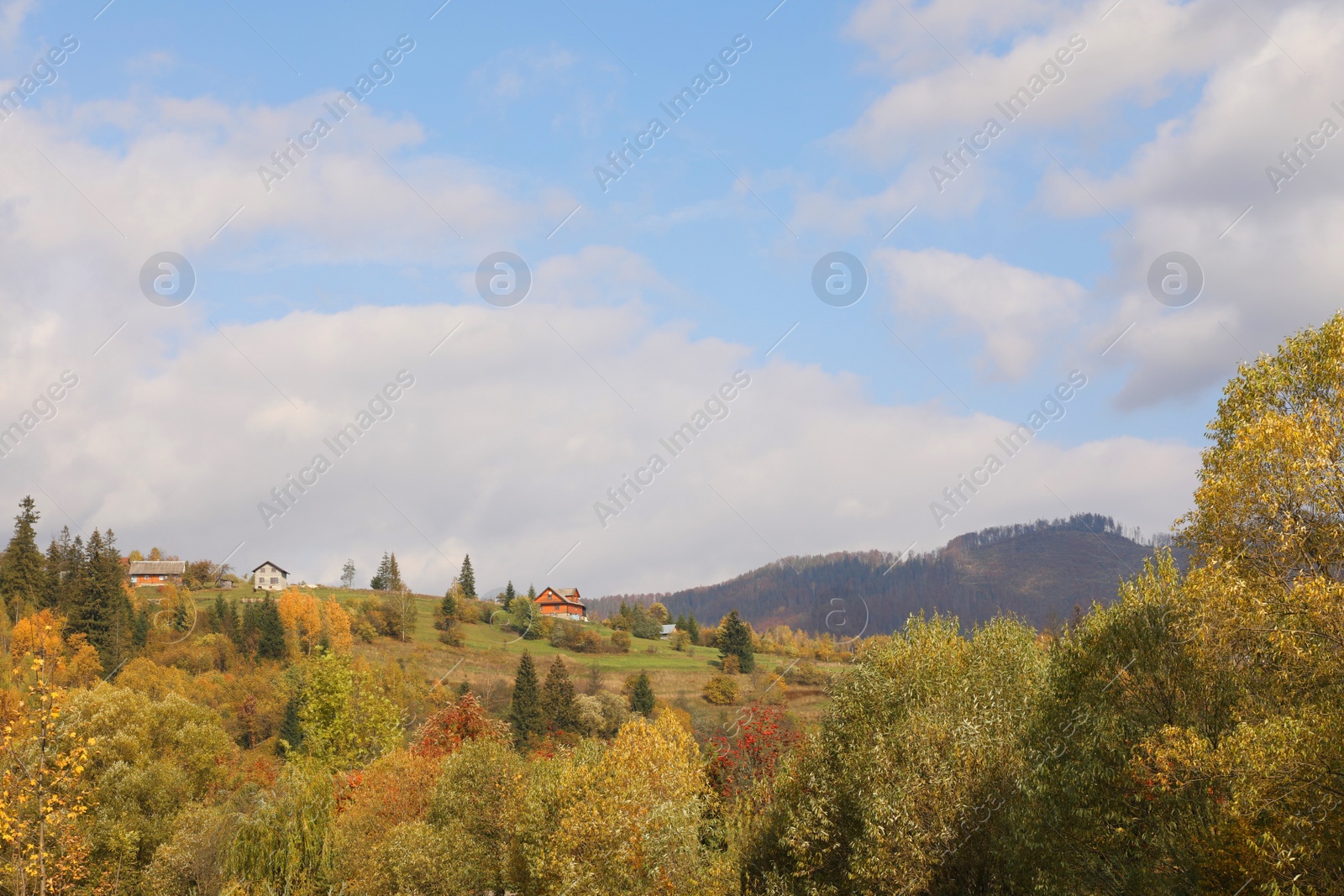 Photo of Beautiful forest and mountain village on autumn day