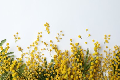 Photo of Beautiful mimosa flowers on white background, top view
