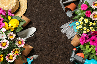 Flat lay composition with gardening tools and flowers on soil, space for text