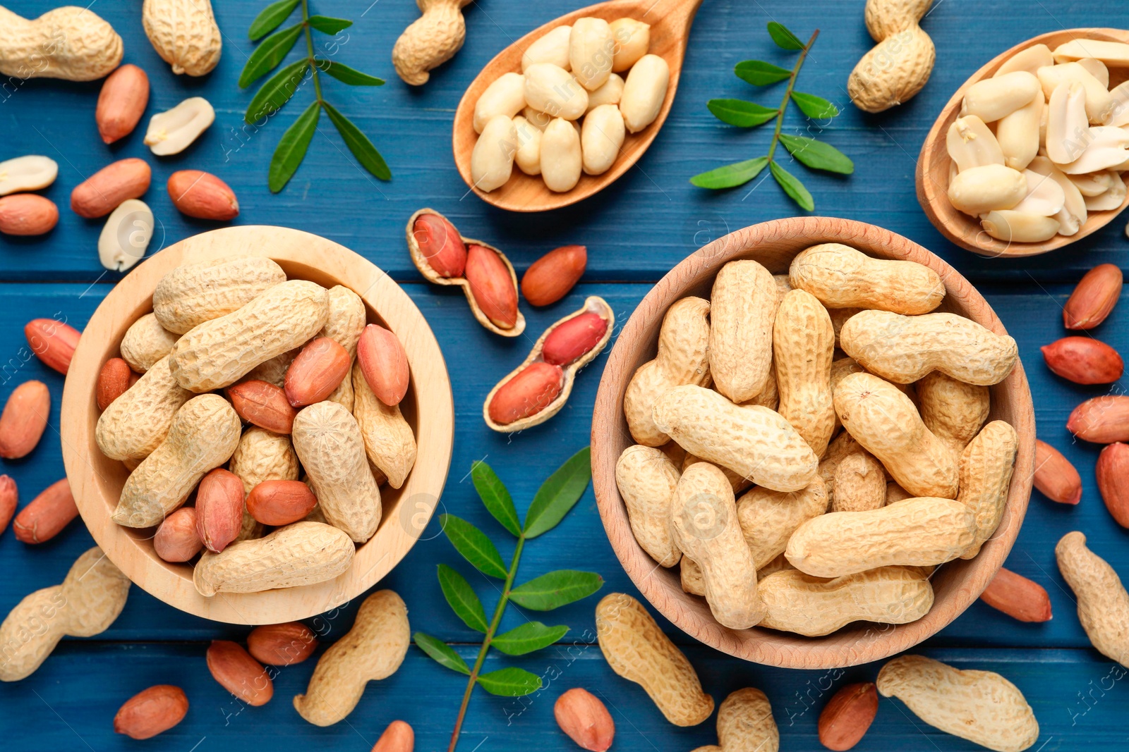 Photo of Fresh peanuts and twigs on blue wooden table, flat lay