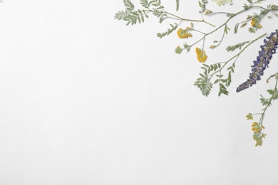 Wild dried meadow flowers on white background, top view