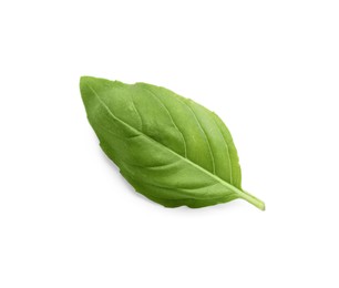 Photo of Aromatic green basil leaf isolated on white. Fresh herb