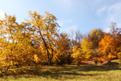 Photo of Beautiful trees with bright leaves in park, blurred view. Autumn season