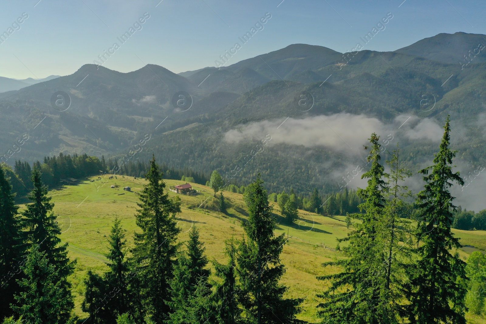Photo of Aerial view of beautiful landscape with misty forest and village in mountains