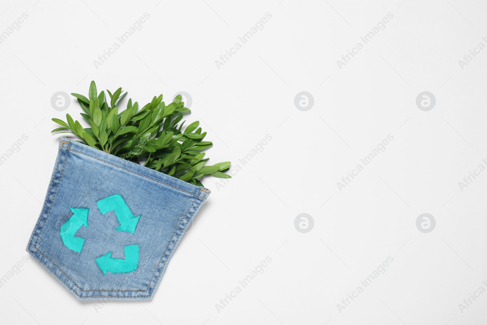 Photo of Twigs of green plant in jeans pocket with recycling symbol on white background, top view. Space for text