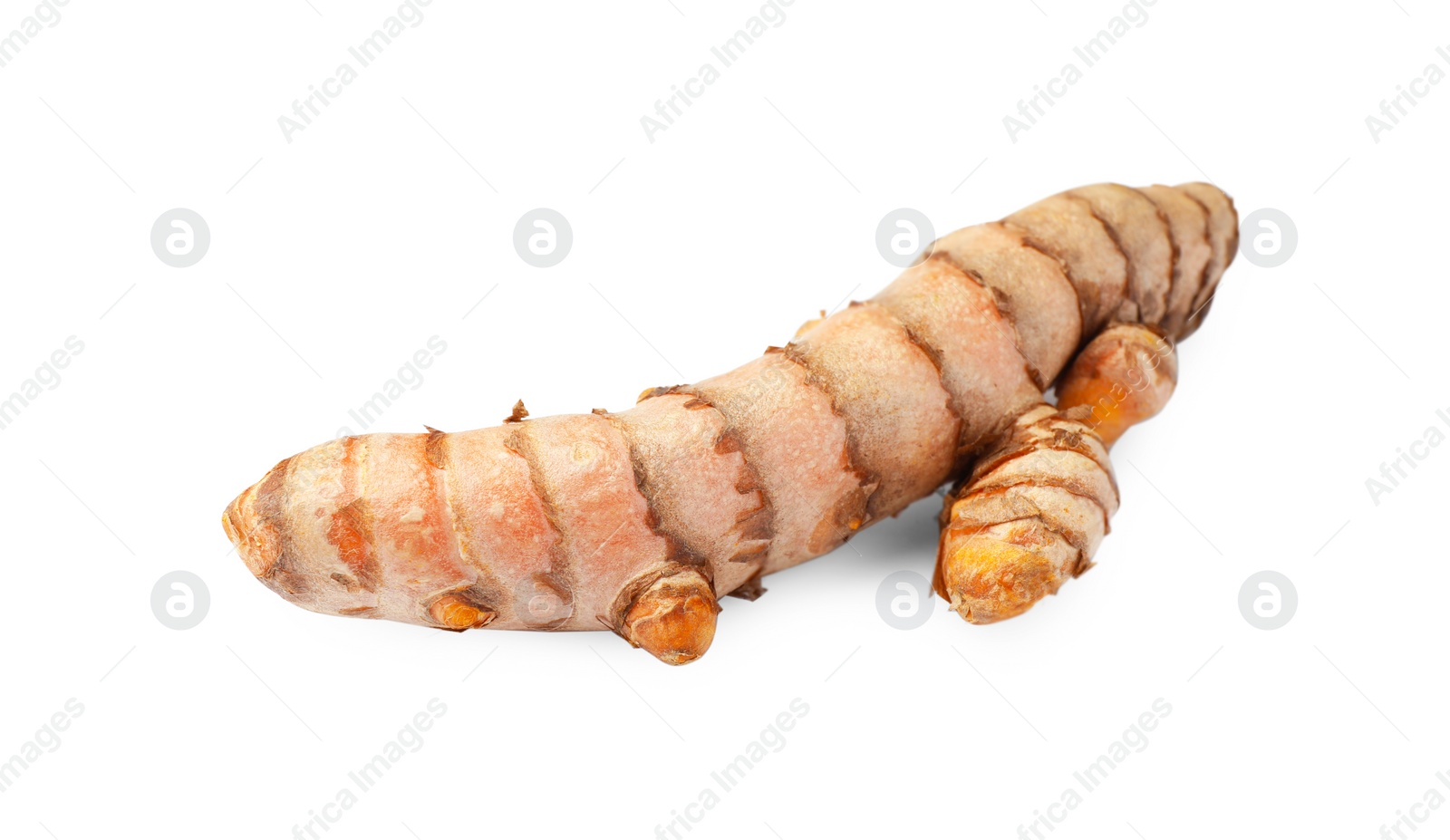 Photo of One fresh turmeric root isolated on white