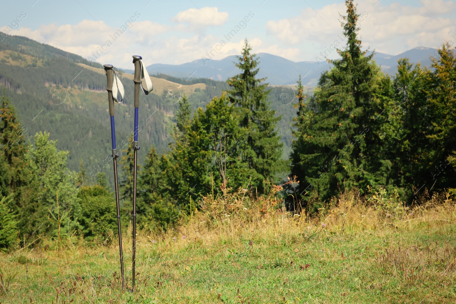 Photo of Trekking poles in mountains, space for text. Hiking accessory