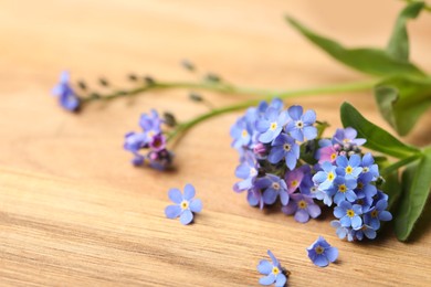 Photo of Beautiful blue Forget-me-not flowers on wooden table. Space for text