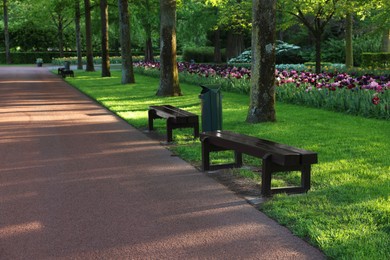 Photo of Park with variety of beautiful flowers, trees and wooden benches on sunny day. Spring season