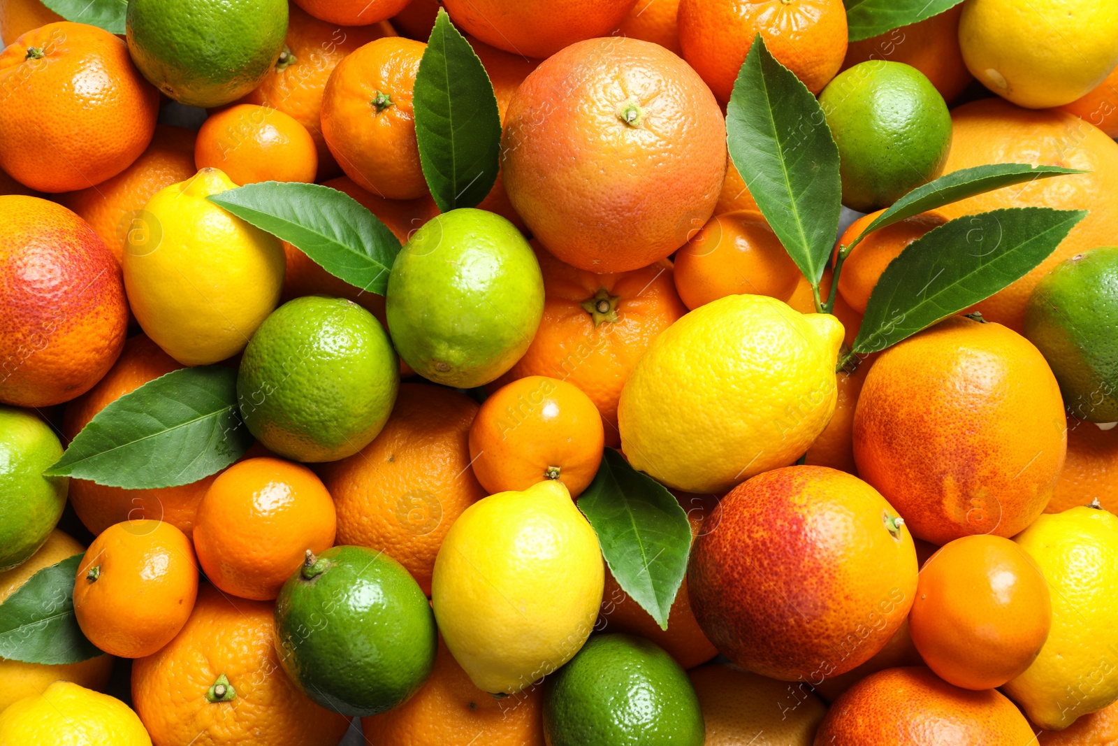 Photo of Different citrus fruits as background, top view