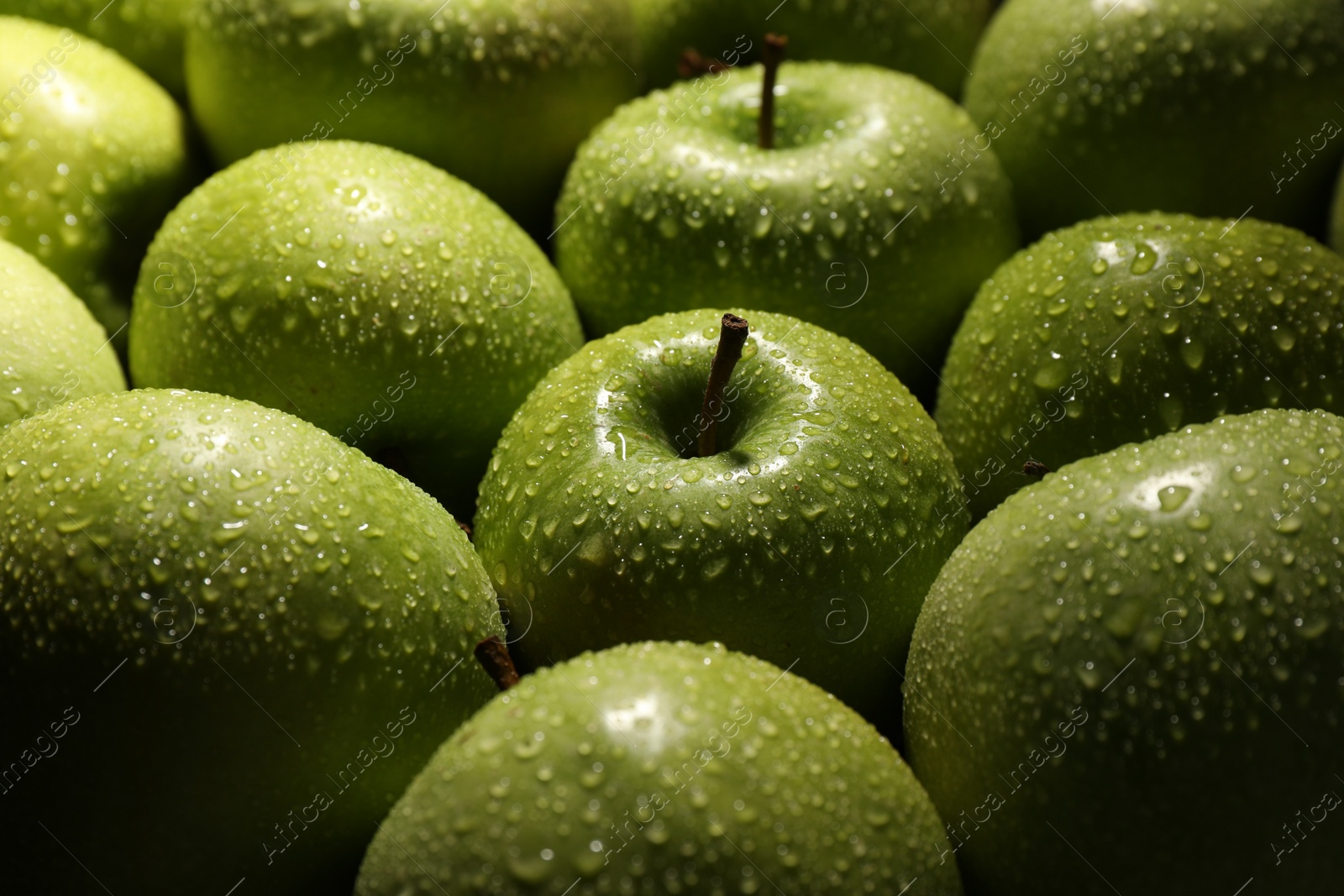 Photo of Ripe green apples with water drops as background, closeup