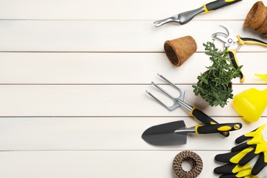 Flat lay composition with gardening tools and green plant on white wooden background, space for text