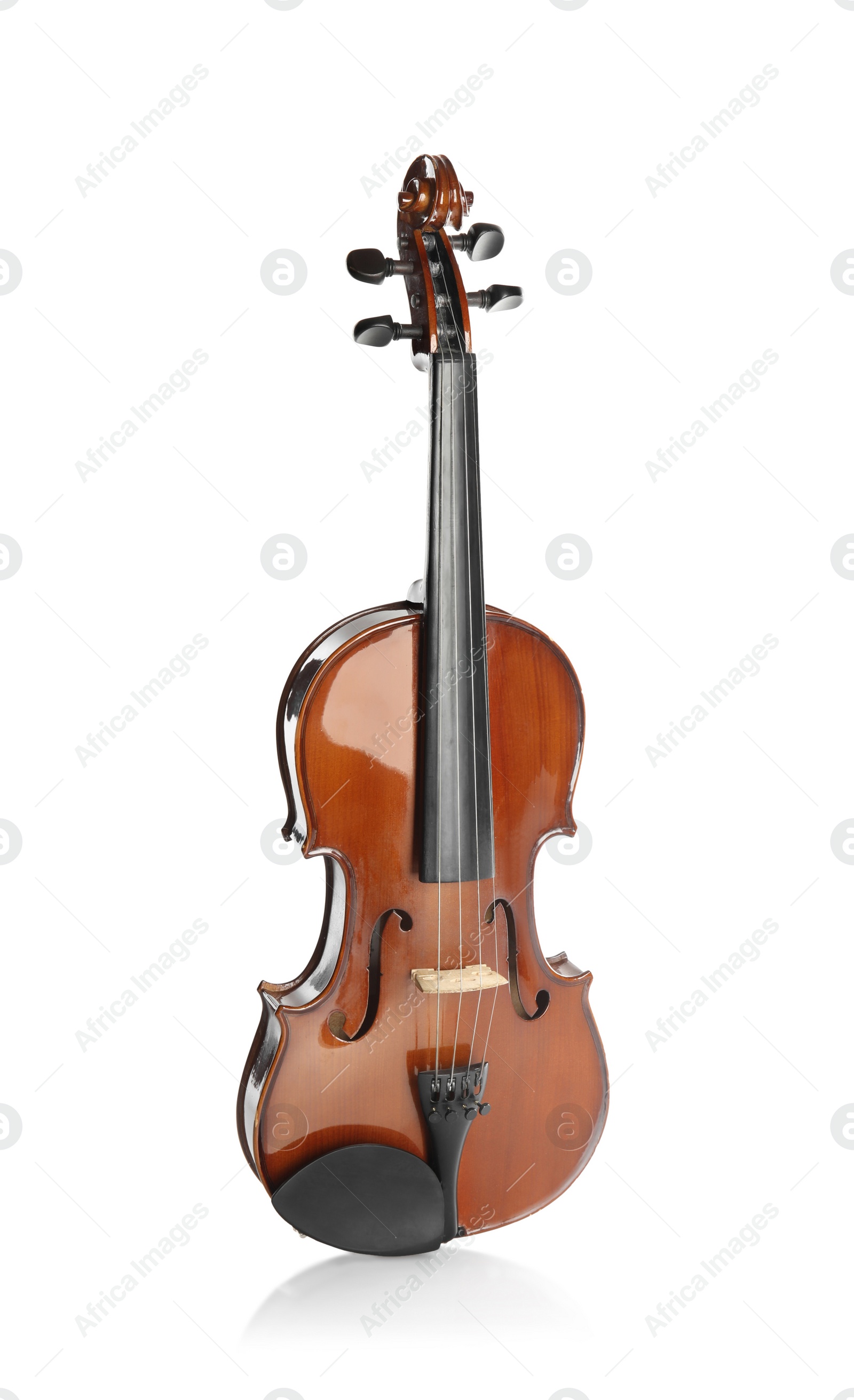 Photo of Classic violin isolated on white. Musical instrument