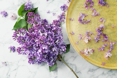 Photo of Flat lay composition with beautiful blossoming lilac on light background. Spring flowers