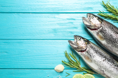 Flat lay composition with raw cutthroat trout fish on light blue wooden table, space for text