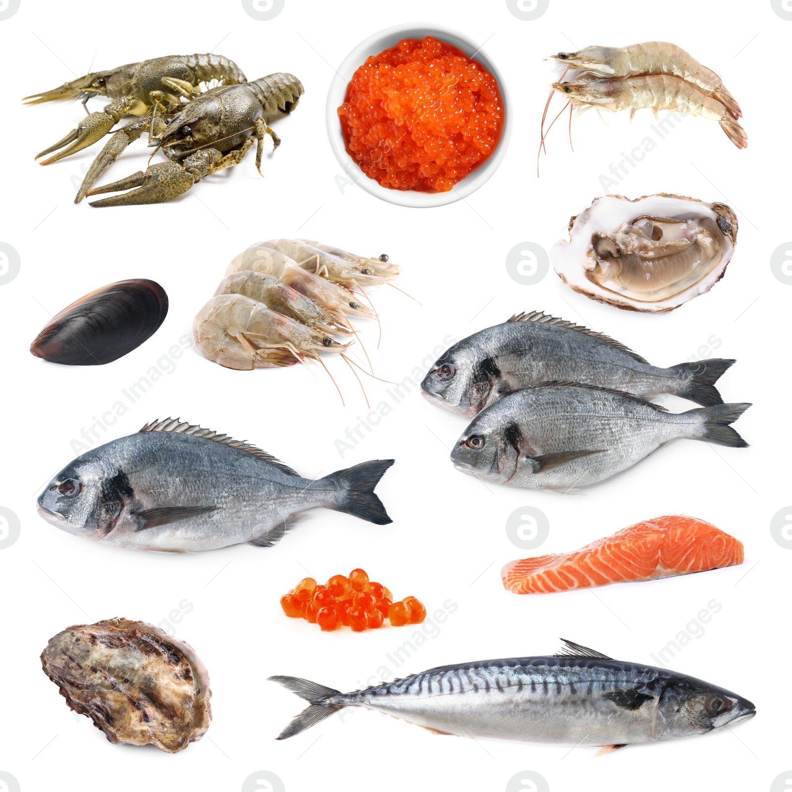 Image of Dorado fish and other seafood isolated on white, set