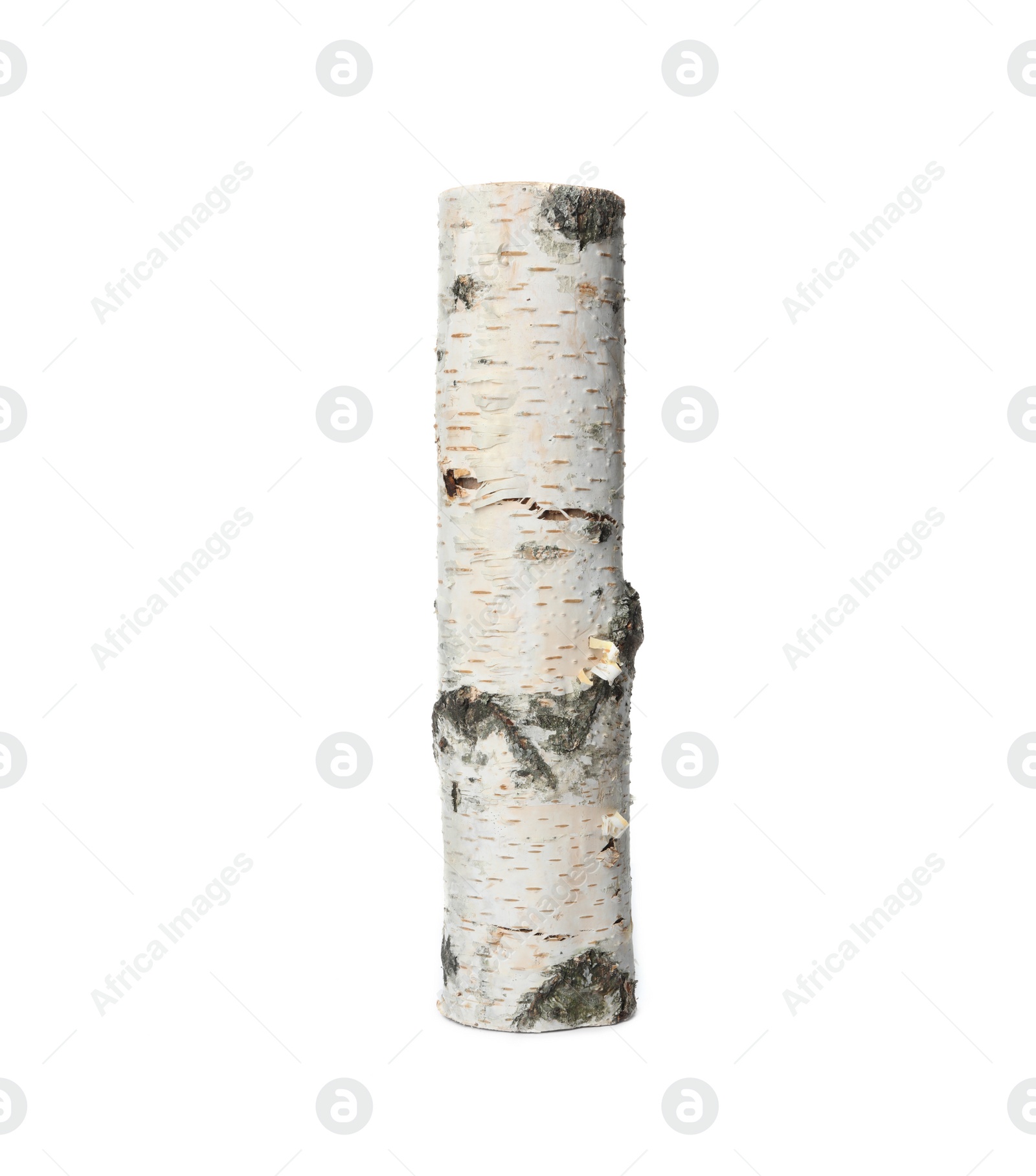 Photo of Cut firewood on white background. Heating in winter