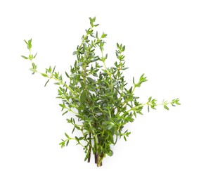 Photo of Bunch of fresh thyme isolated on white