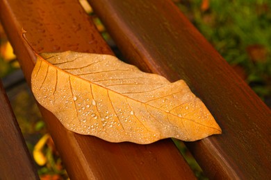 Photo of Beautiful yellowed leaf with dew on wooden bench in park, closeup