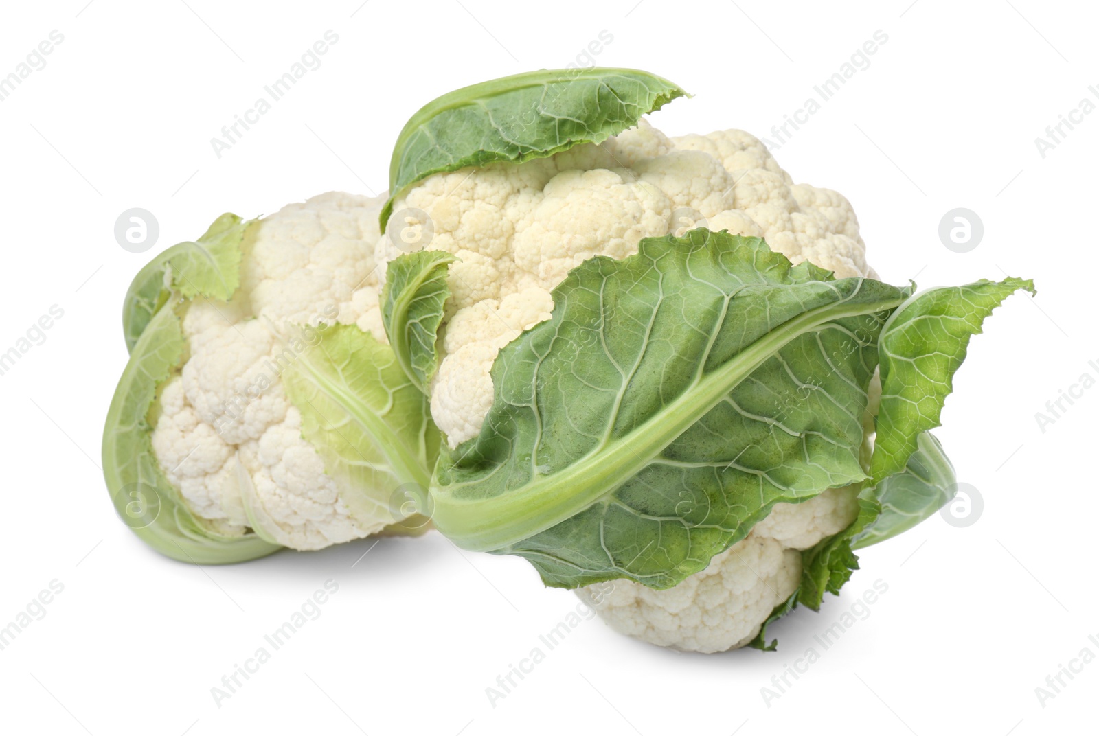 Photo of Whole fresh raw cauliflowers on white background