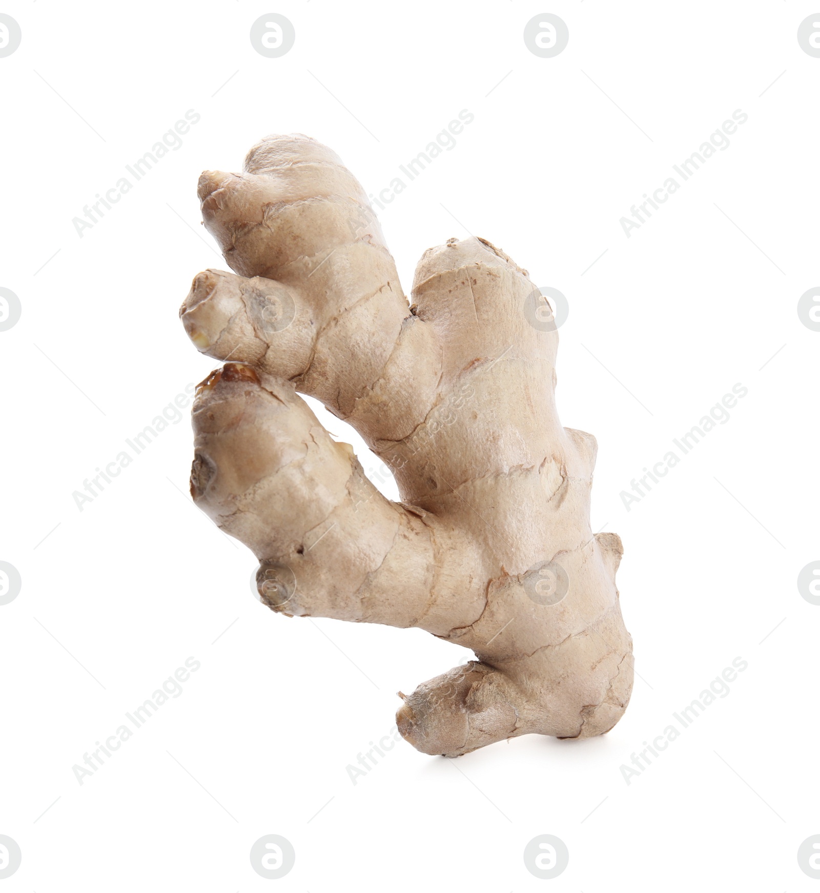 Photo of Whole fresh ginger root isolated on white