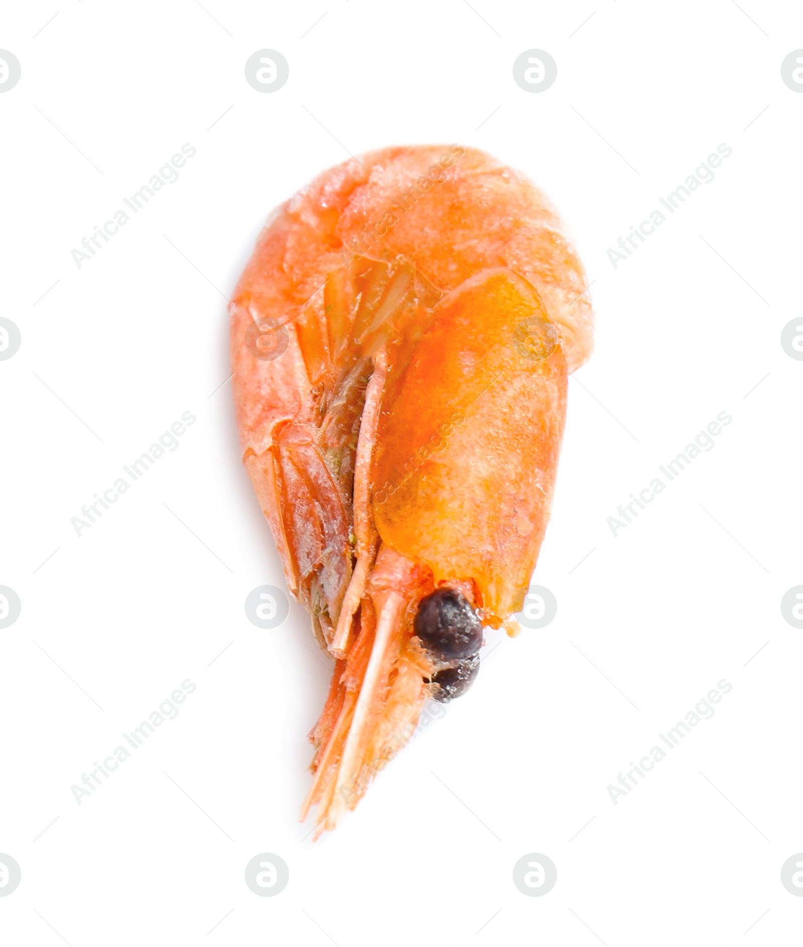 Photo of Raw shrimp covered with ice on white background