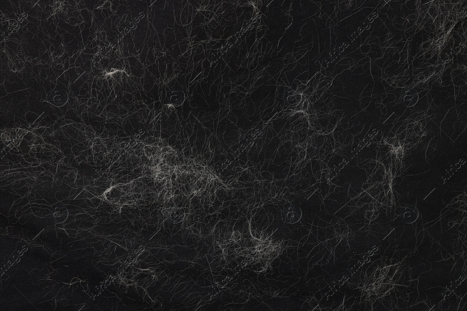 Photo of Pet hair on black fabric, top view