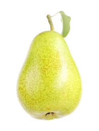 One ripe pear with leaf on white background