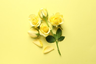 Beautiful roses and petals on yellow background, flat lay