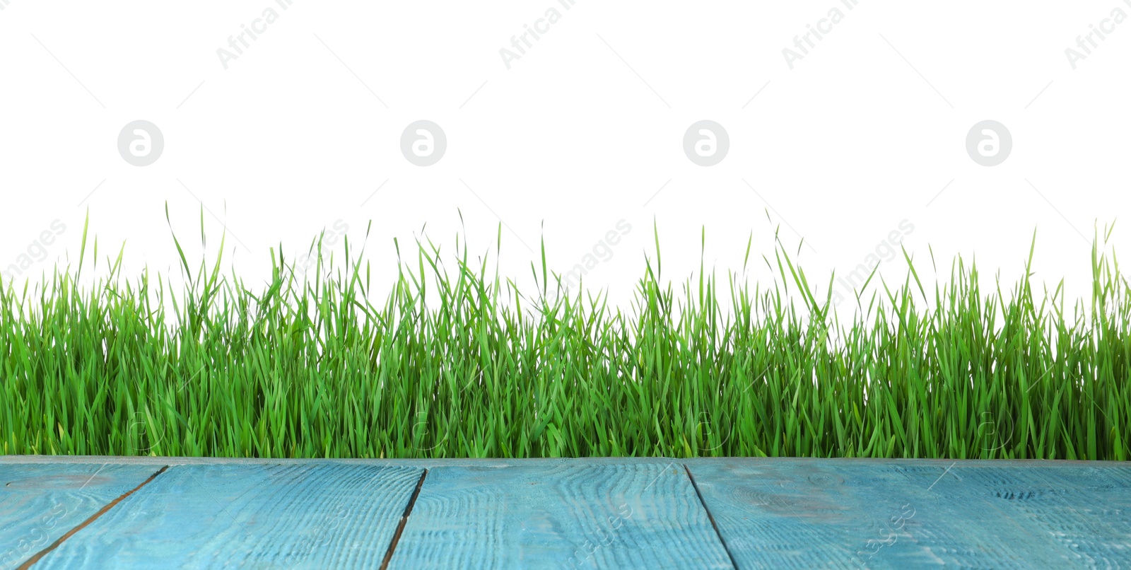 Photo of Blue wooden deck and green grass isolated on white