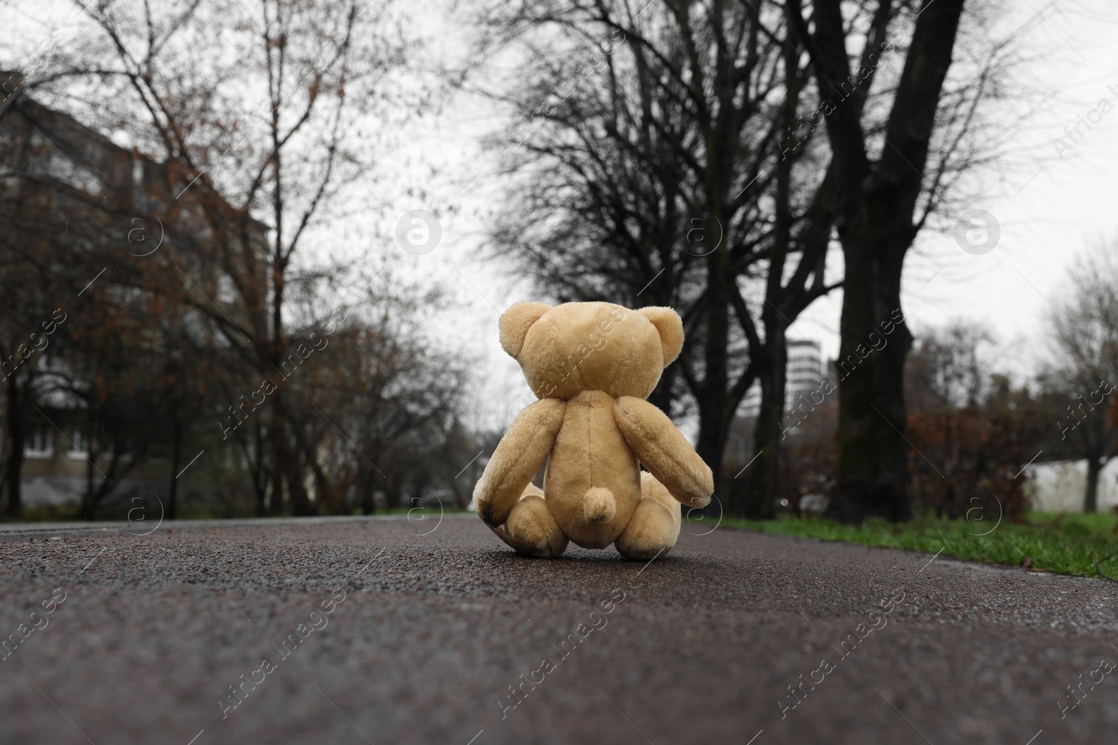 Photo of Lonely teddy bear on asphalt road outdoors, back view