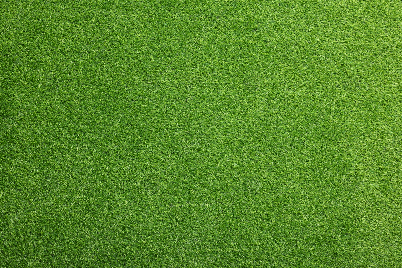 Photo of Green artificial grass as background, top view